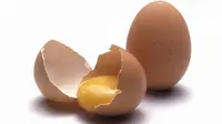 Anda tidak akan menyangkan jika cangkang telur mempunyai segudang manfaat. Simak artikelnya.