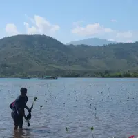 Langkah Pemprov NTB Bangun Ekosistem Perdagangan Karbon Berkelanjutan