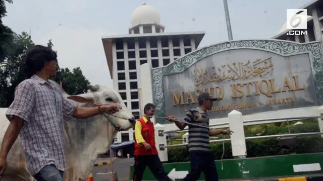 Masjid Istiqlal akan menyembelih hewan kurban Idul Adha 1438 Hijriah.