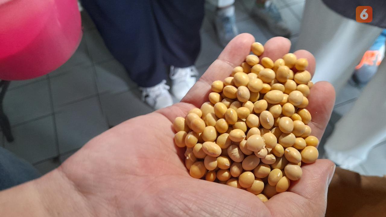 Mengintip Isi Pabrik Tahu Premium di Kawasan Patal Senayan, Diproduksi Pakai Mesin Tanpa Injak-Injak Kaki