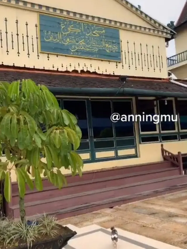 Dermawan, Pria Ini Rutin Beri Makan Kucing Liar yang Kelaparan