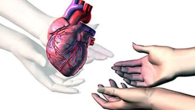 Menunggu Transplantasi Lewat Aplikasi Tinder