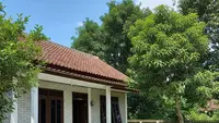 11 Jenis Tanaman yang Dulu Sering Ada di Halaman Rumah, Kini Mulai Langka