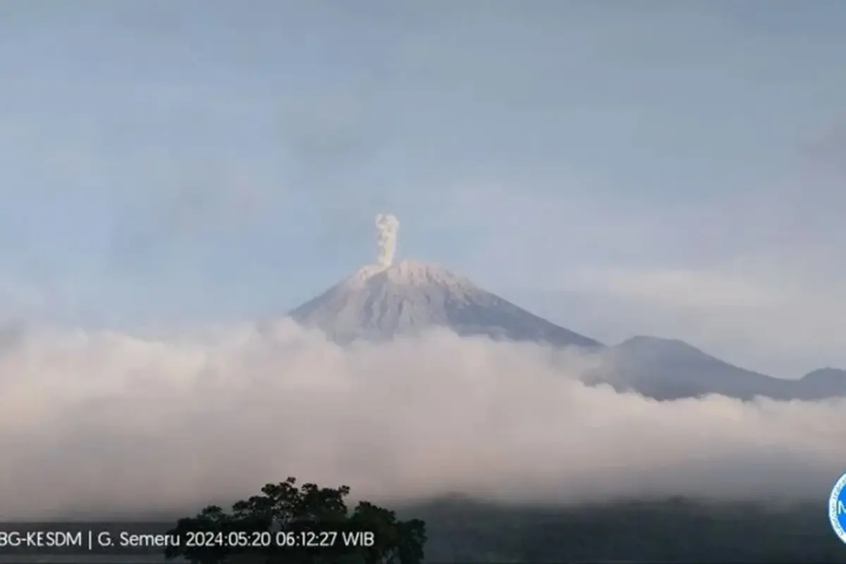 Gunung Semeru Erupsi Lagi tinggi Letusan Capai 800 meter (Istimewa)