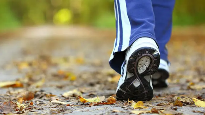 Copyright by Shutterstock.com