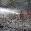 Titik Api Padam Seluruhnya, Luasan Area Gunung Bromo Capai 1.121 Hektare