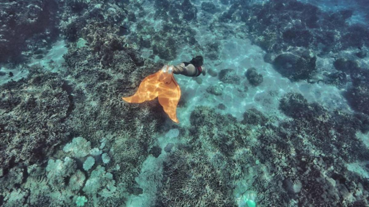 Sejumlah Tips Diving untuk Pemula ala Marischka Prudence Lifestyle