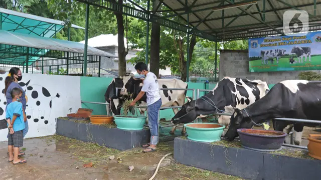 Agro Edukasi Wisata Ragunan