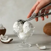 Resep ice cream vegan dari santan kelapa./Copyright&nbsp;freepik.com/author/atlascompany