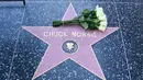 Ia mengembuskan napas terakhir di kediamannya di Kauai, Hawaii. Tampak dalam foto, bunga-bunga diletakkan di bintang Hollywood Walk of Fame Chuck Norris, menyusul berita kematiannya pada Jumat 20 Maret 2026, di Hollywood, California. (Frederic J. Brown/AFP)
