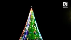 Pohon natal tertinggi di Asia Tenggara ternyata ada di Sumatera Utara, tingginya mencapai 33 meter.