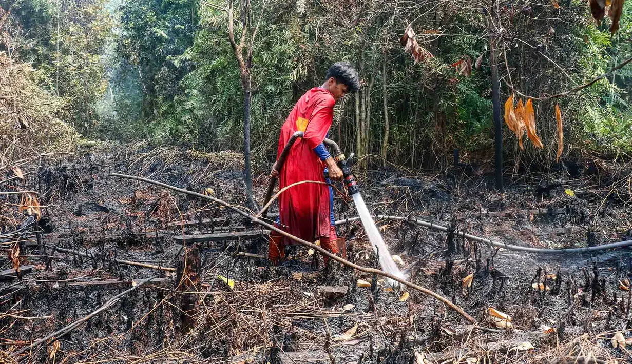 Pelajar bernama Rudiansyah dengan mengenakan kostum Superman membantu memadamkan kebakaran hutan dan lahan di Petuk Katimpun, Palangkaraya, Kalimantan Tengah, 17 Agustus 2026. (AFP/ Reina)