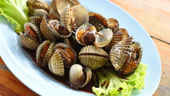 kerang dara