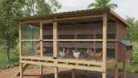 7 Cara Menata Sirkulasi Udara Kandang Ayam agar Nyaman dan Higienis, Optimalkan Kesehatan