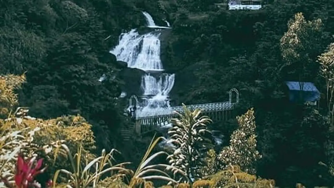 Black Canyon, Pekalongan