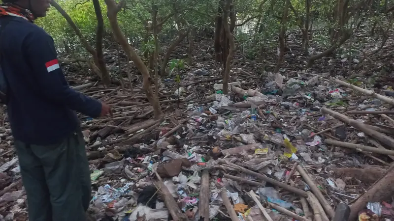 Sampah plastik menutup permukaan tanah tempat tumbuh bakau di Konservasi Mangrove, Baros, Bantul Yogyakarta.