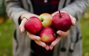 7 Cara Menyimpan Apel agar Tidak Cepat Keriput dan Bertepung, Kunci Kesegaran Buah
