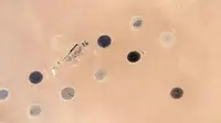 Salah satu titik pengolahan air dalam sistem irigasi padang gurun Libya difoto dari International Space Station oleh astronot Scott R. Kelly. (Sumber NASA)