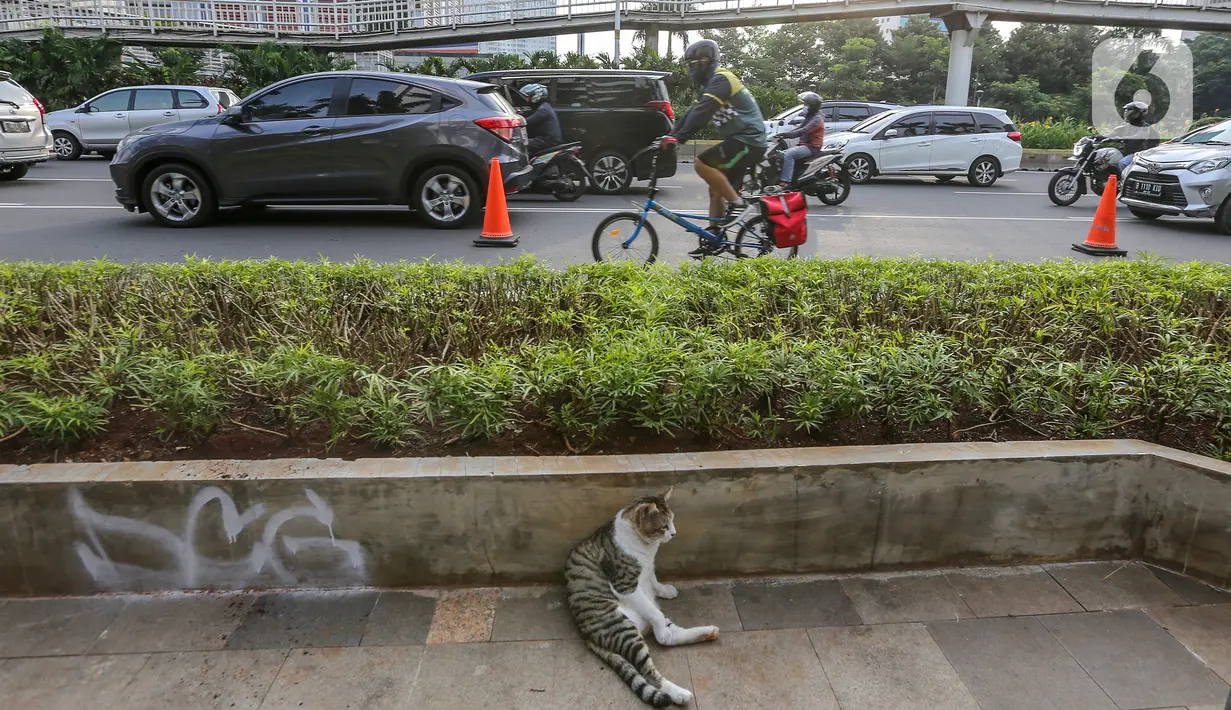Warga bersepeda setelah jam kerja di jalur khusus sepeda kawasan Jalan Sudirman, Jakarta, Selasa (14/7/2020). Jalur sepeda bernama pop-up bike lane yang berada di sepanjang Jalan Jenderal Sudirman dan MH Thamrin berjarak sekitar 14 Km. (Liputan6.com/Fery Pradolo)