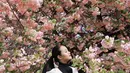 Dalam foto yang dibagikan, Yura tampil menawan di bawah lebatnya bunga sakura yang tengah mekar sempurna.  [@yurayunita].