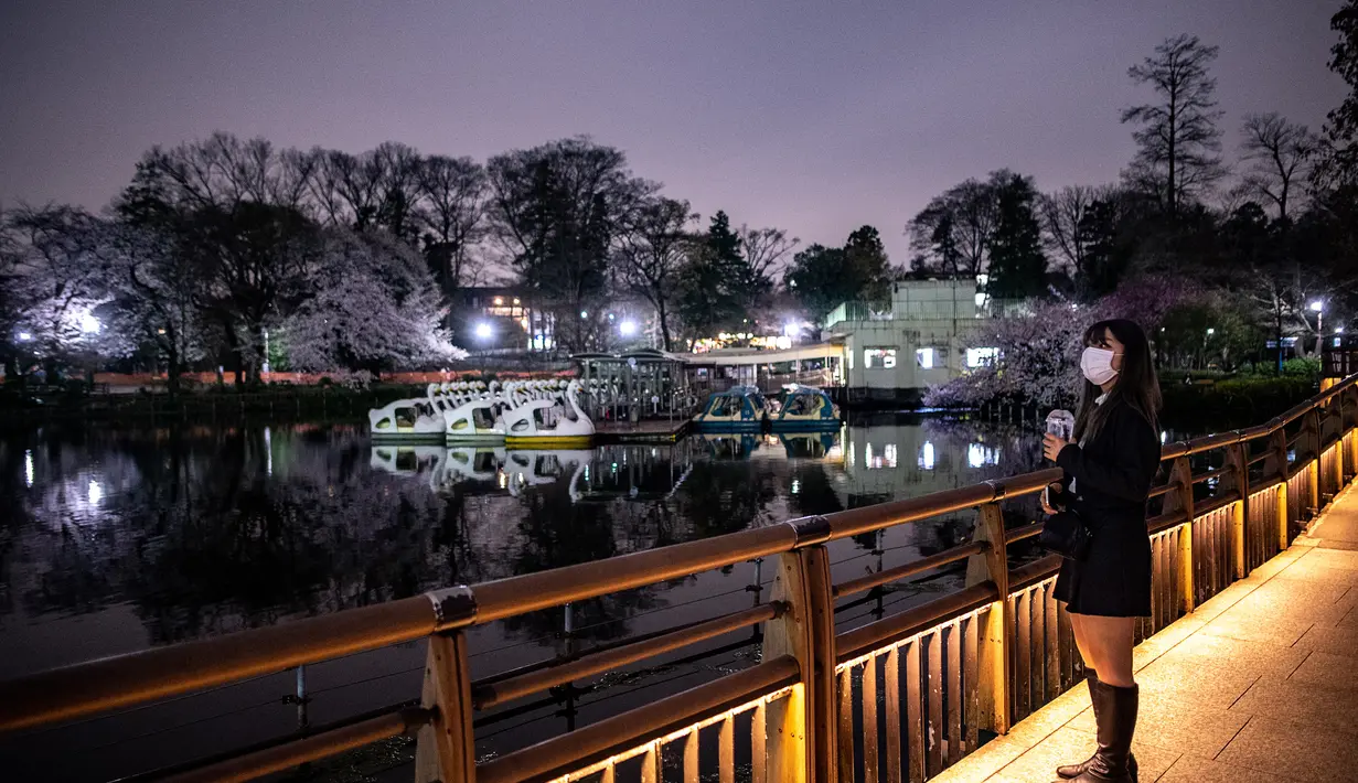 FOTO: Keindahan Bunga Sakura di Malam Hari - Foto Liputan6.com