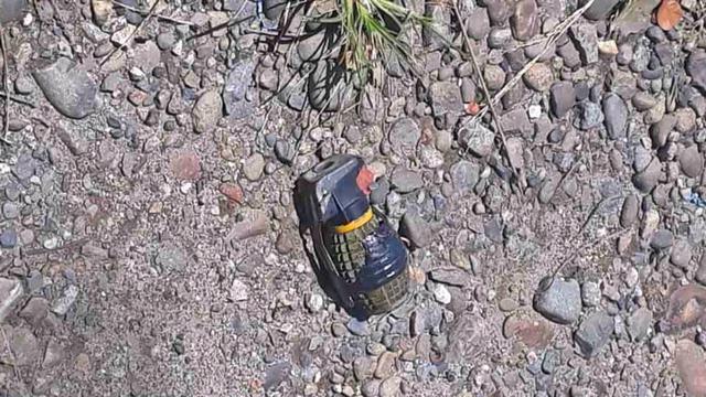 Penemuan Granat Nanas