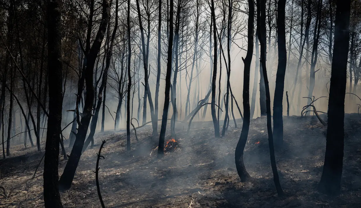 Pulau Evia, pulau terbesar kedua di Yunani, menjadi titik panas terbesar dengan banyaknya kobaran api yang muncul sepanjang Minggu 27 Juli 2025. (Angelos TZORTZINIS/AFP)