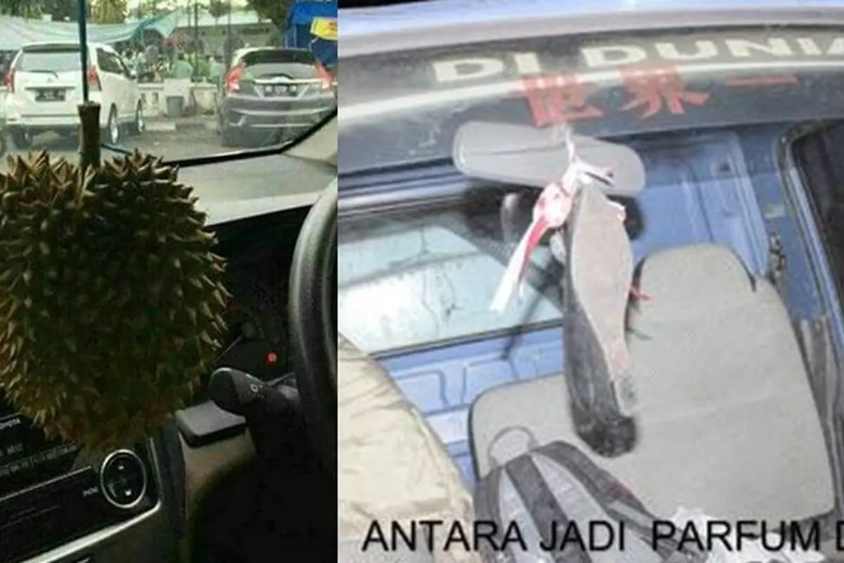 6 Parfum Mobil Ini Siap Bikin Penumpang Jadi Mabuk Darat