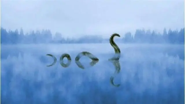 Beberapa saksi mata mengklaim telah melihat sosok aneh yang diduga monster dalam danau tersebut.
