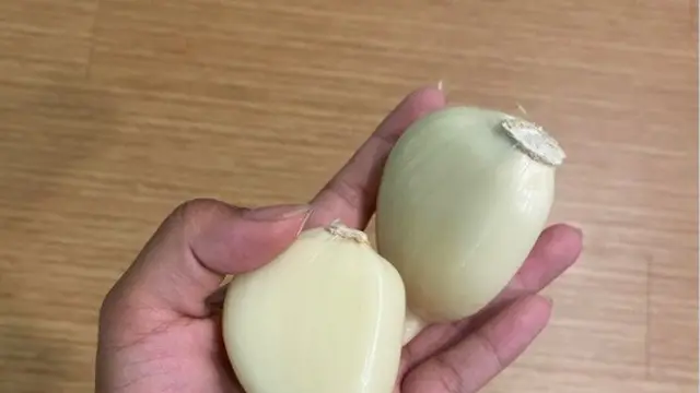 benda dan hewan berukuran tak biasa