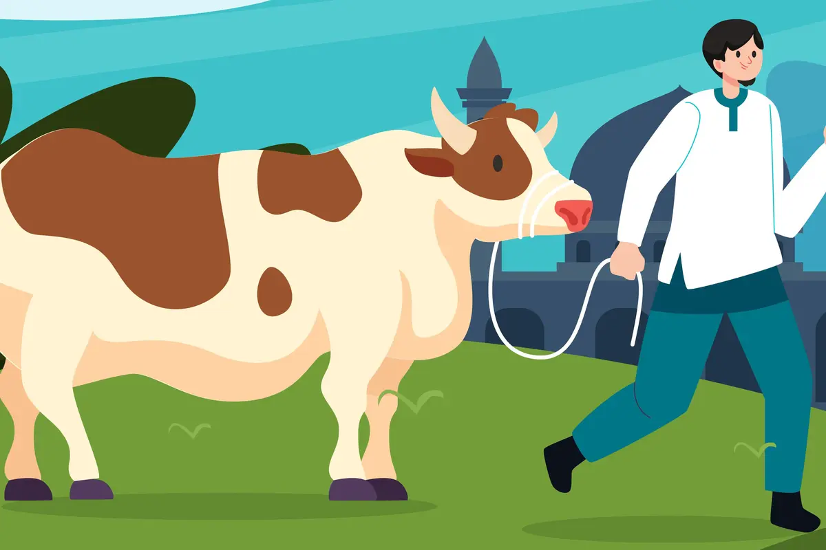 Ilustrasi kurban, iduladha