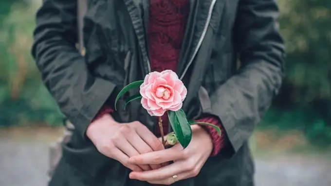 Foto: copyright pexels.com