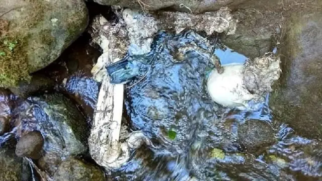 Jasad pendaki, Galih yang tinggal tulang belulang ditemukan di kawasan Gunung Keramat Bawakaraeng (Liputan6.com/ Eka Hakim)