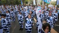 Sejumlah penari dengan kostum bercorak sapi perah beraksi dalam acara peringatan Hari Susu se-Dunia dan kampanye minum susu saat car free day di Jalan Raya Darmo, Surabaya. (Antara)
