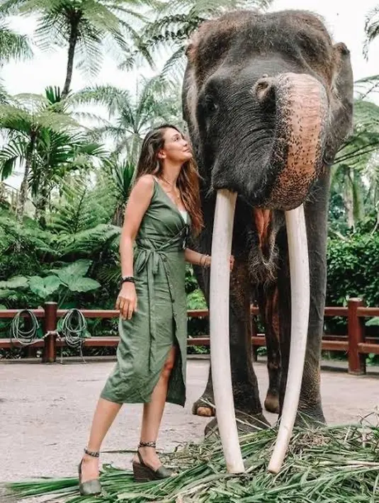 Berpose dengan gajah, Luna terlihay mengenakan dress hijau, tampilannya semakin cantik dengan wedges Kate Spade hijau seharga Rp1.900.000. Dok. Instagram @lunamaya