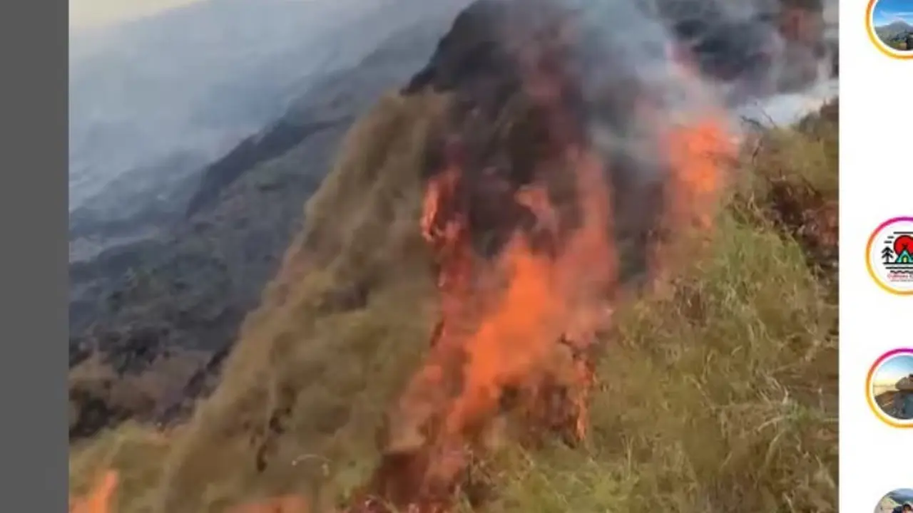 Bukit Anak Dara di Kaki Gunung Rinjani Terbakar, Jalur Pendakian Ditutup Sementara
