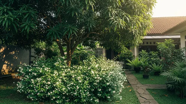 Jenis Tanaman Buah dan Hias yang Cocok Digabung di Kebun Pekarangan, Kombinasi Mangga dan Melati