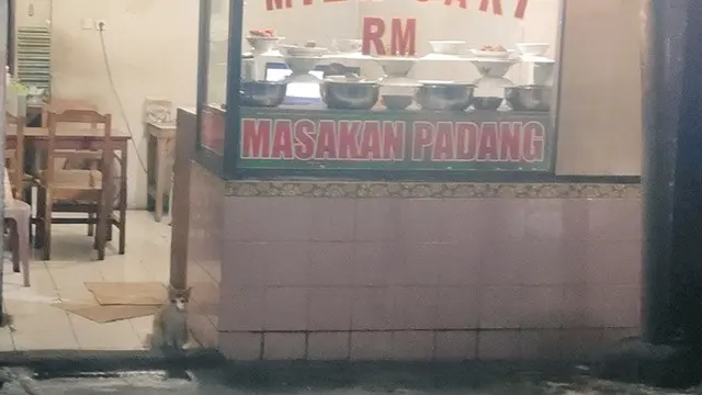 6 Aksi Kucing saat Jaga Warung Ini Lucu Bikin Geleng Kepala