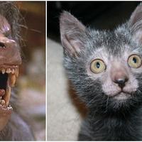 10 Makhluk Mitos Yunani Yang Kabarnya Nyata - Lifestyle 