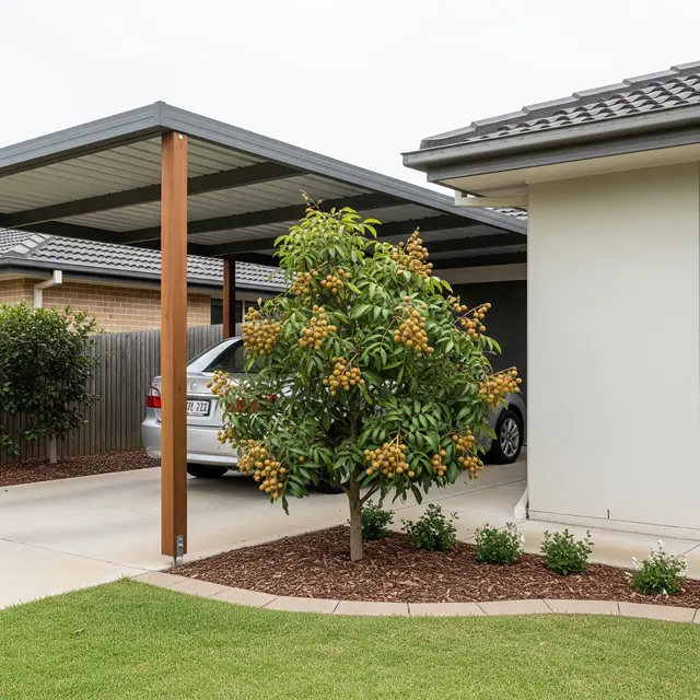 Pohon Buah Dekat Carport yang Aman untuk Pondasi Rumah (Image by Gemini AI)