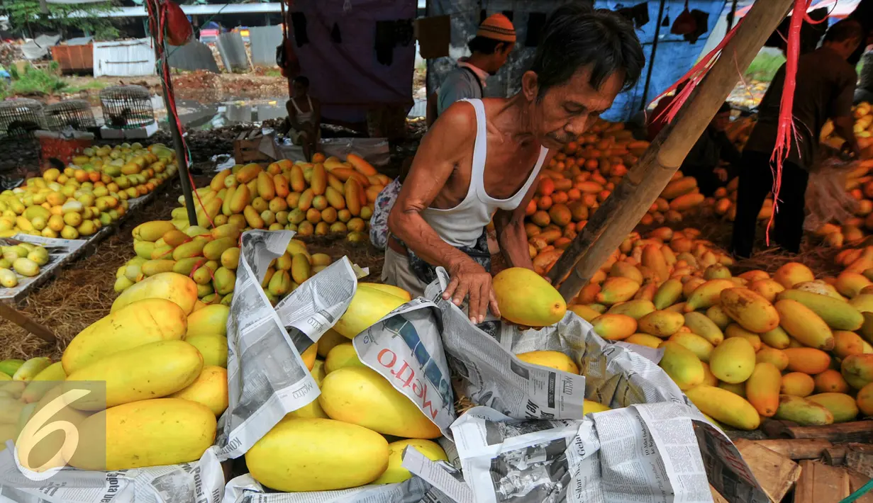 Pedagang timun suri merapihkan dagangannya di Pasar Kramat Jati, Jakarta, Selasa (14/6/2016). Memasuki minggu kedua di bulan Ramadhan permintaan timun suri untuk bahan berbuka puasa terus meningkat. (Liputan6.com/Yoppy Renato)