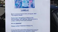 Kecewa, Fans Tottenham Buat Poster Lamela Hilang