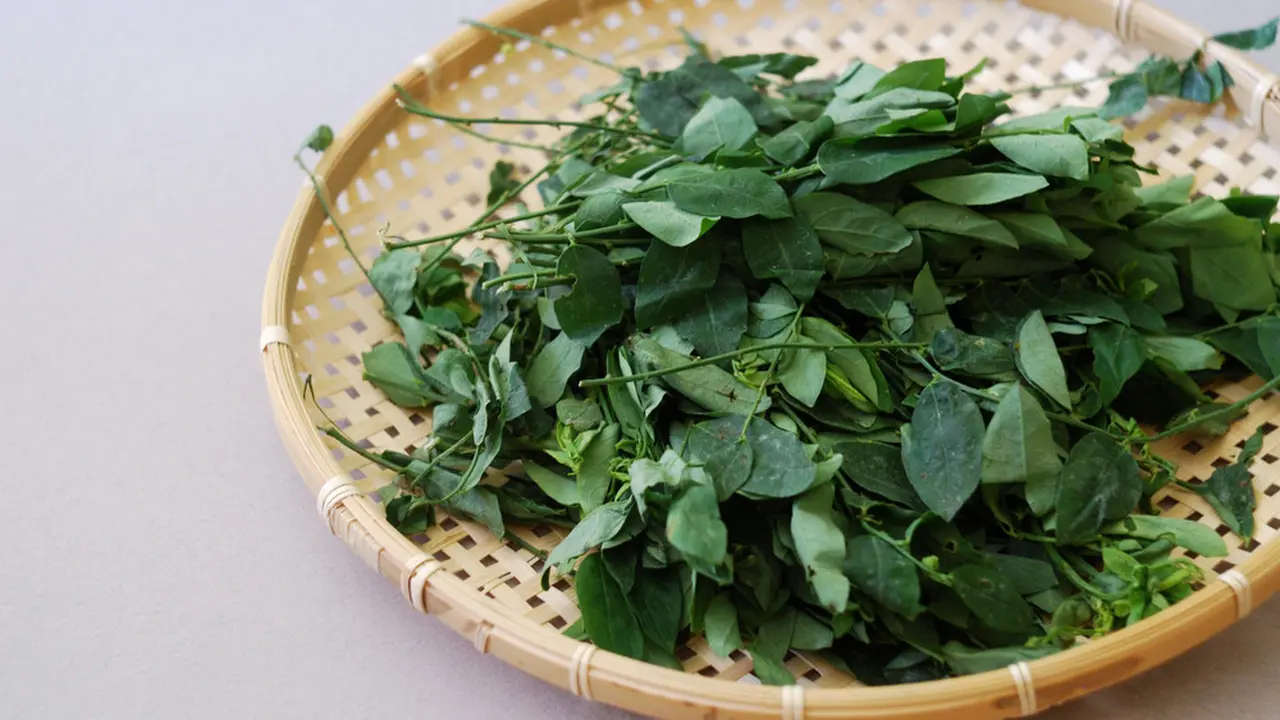 Resep