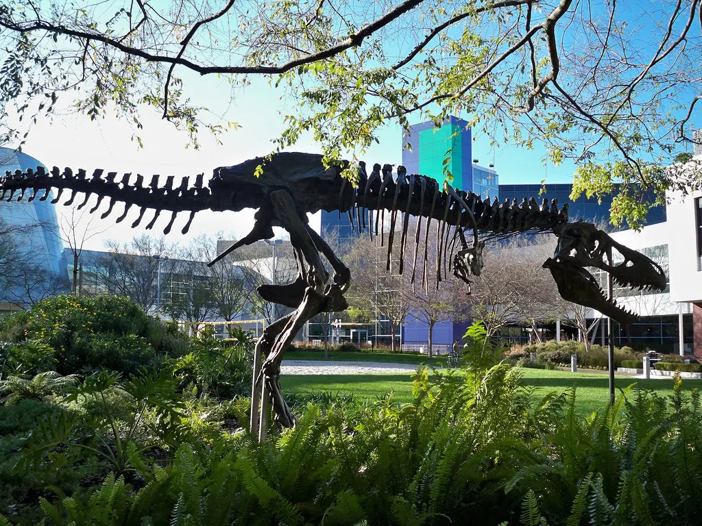 	Patung fosil T-Rex di Googleplex yang bernama Stan (Foto: Dug Song/Flickr)