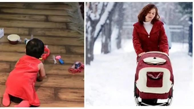 Foto : copyright oddee.com