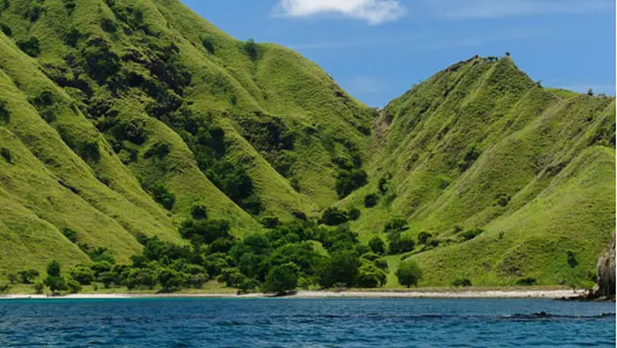 (C) reversehomesickness.com