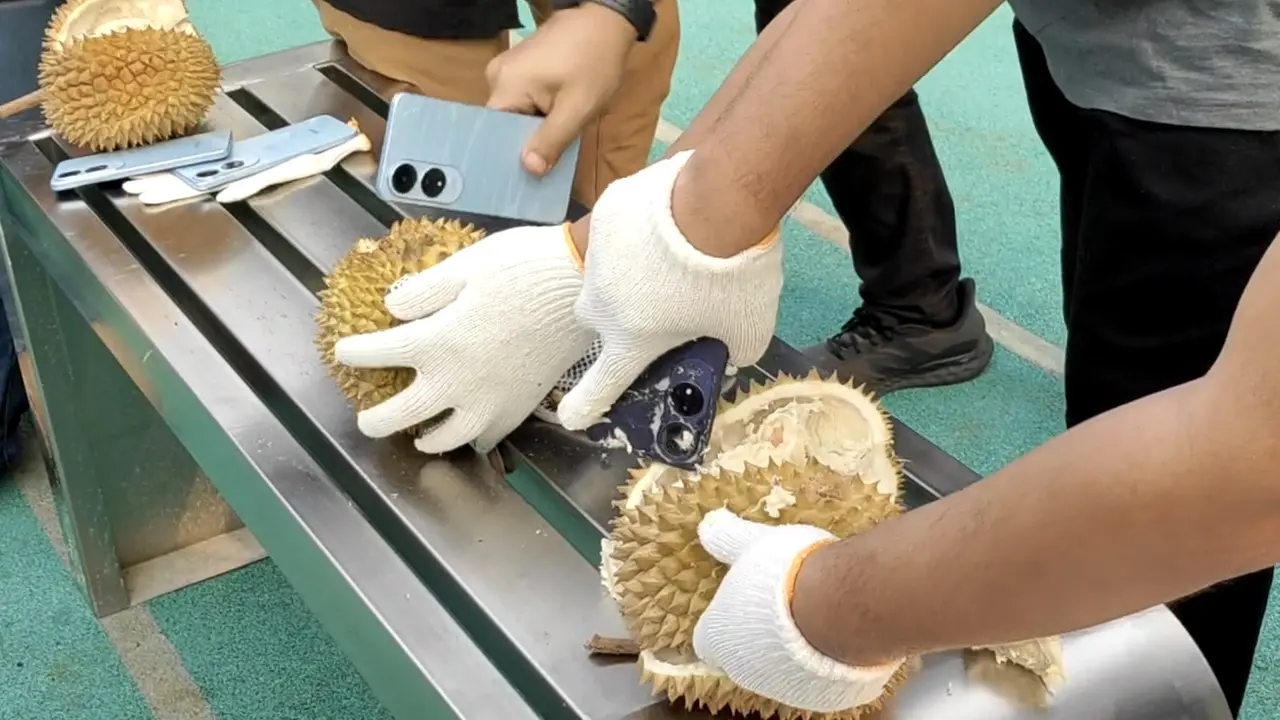 Ekstrem, Kekuatan Bodi HP Oppo A60 Dipakai Buat Belah Durian! - Tekno