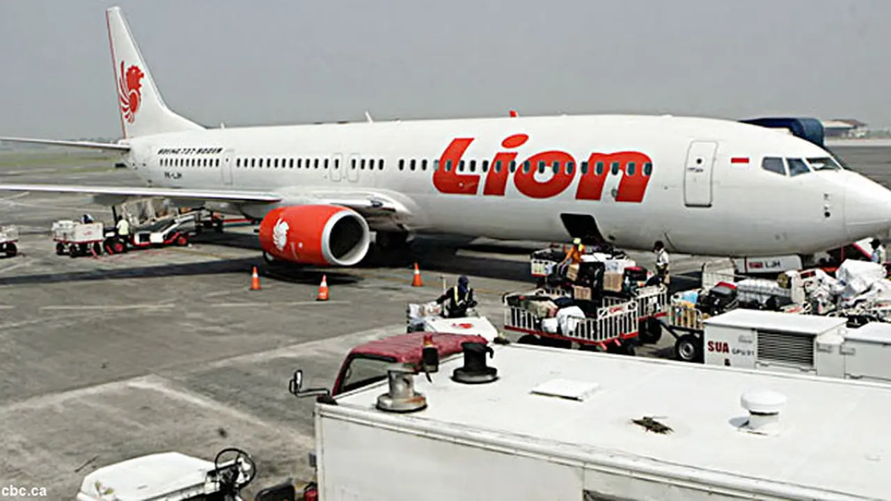 kaleidoskop-lion-airbus-131216b.jpg