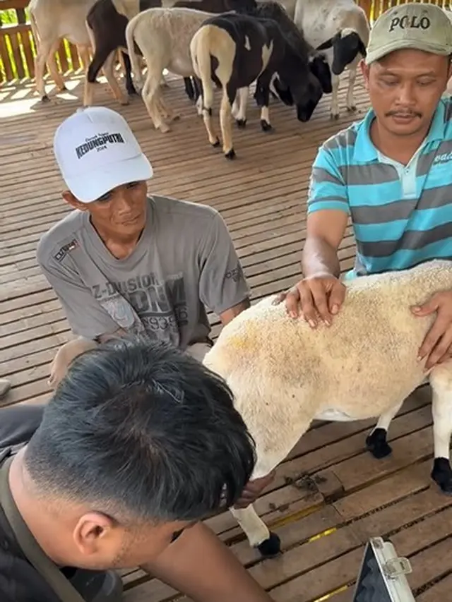 Potret Kandang Domba Ayudia Bing Slamet (Instagram/ayudiac)