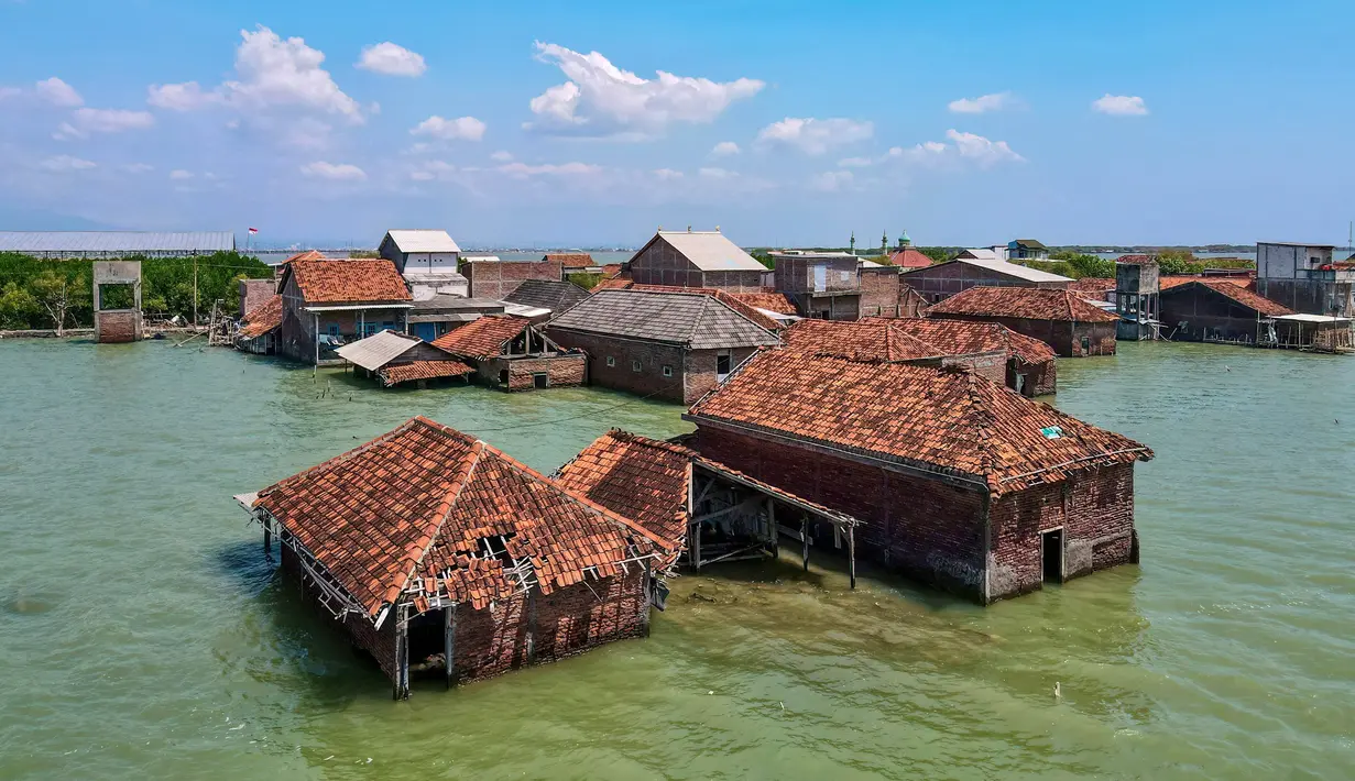 Dua faktor di atas, menyebabkan abrasi, banjir rob permanen, dan kehilangan lahan yang terus meningkat, dengan proyeksi wilayah seperti Pekalongan akan 80% di bawah permukaan laut pada 2035. Tampak dalam foto yang diambil pada 30 Juli 2025 menunjukkan pemandangan udara rumah-rumah yang terbengkalai dan sebagian terendam air akibat kehilangan lahan akibat perubahan iklim di Desa Bedono, Demak, Jawa Tengah. (BAY ISMOYO/AFP)